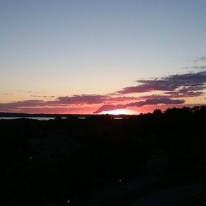 Meet your Posher, Sean